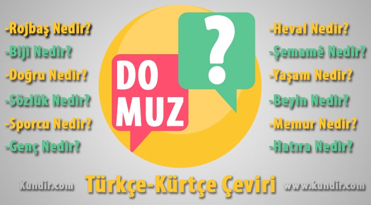 kürtçe domuz çevirisi